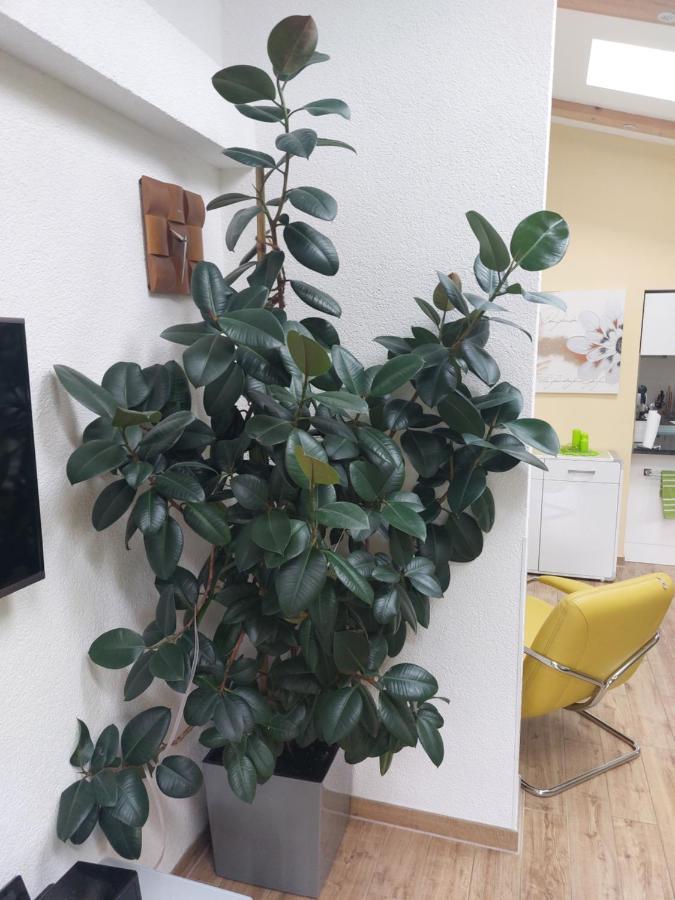 Ferienhaus In Bernau Bei Berlin Zewnętrze zdjęcie